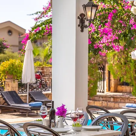Korsan No.5 * Kaş